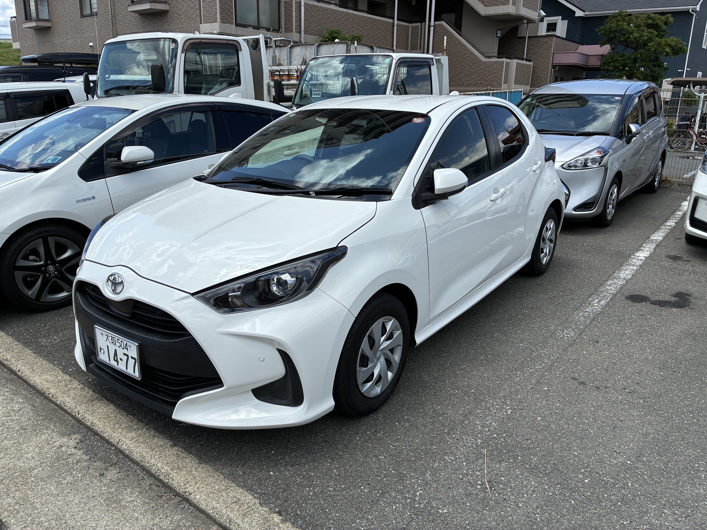 ヤリス①