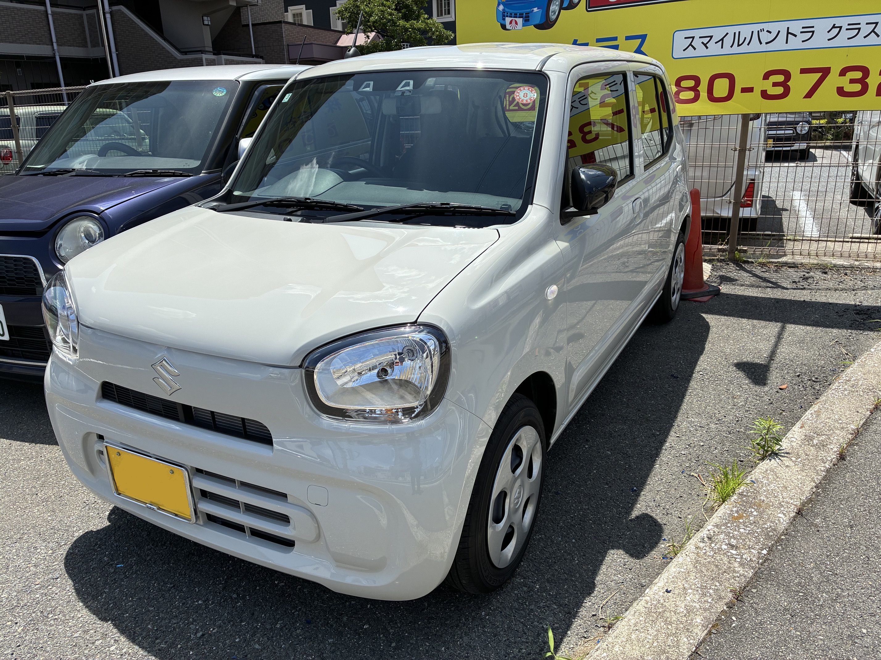 アルト写真②
